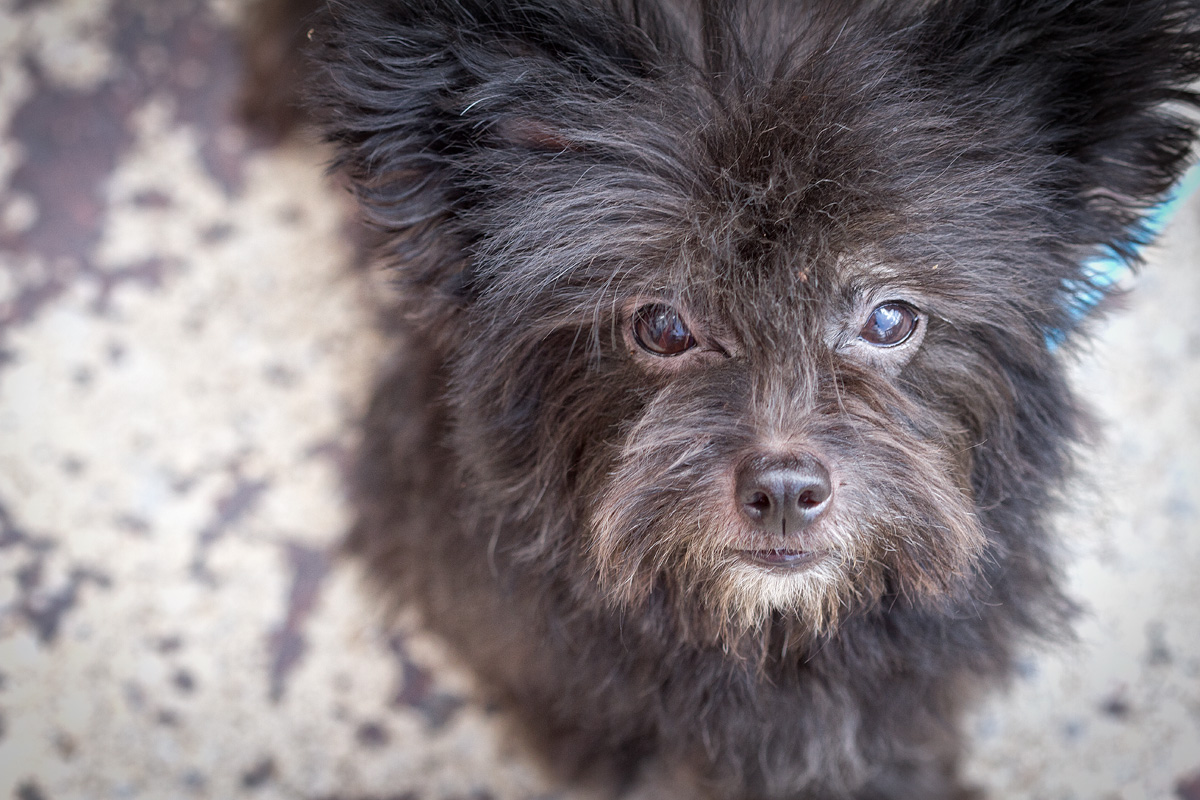 Snapshot: August 16, 2011