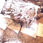 Tobacco Inspection at Crowned Heads