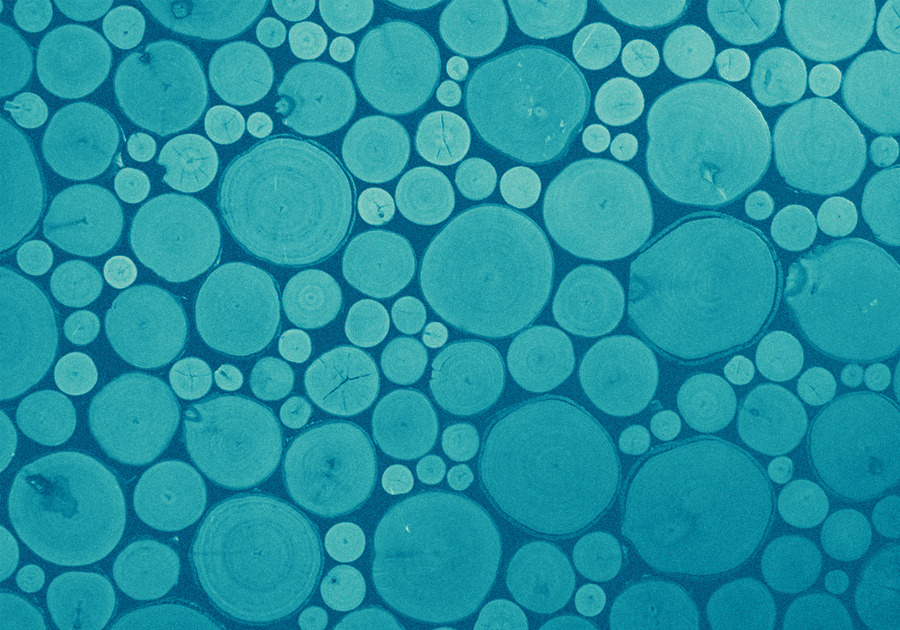 Ender's Game, by Orson Scott Card